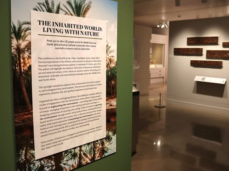 View of the introductory panel for “The Inhabited World: Living with Nature” in the Kelsey Museum galleries, featuring several paragraphs of text overlaying an image of a river and palm trees. Mounted on the wall in the background are several carved wooden lintels.