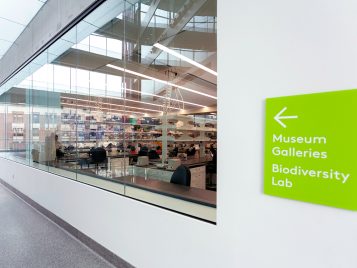 A photograph of a room taken from the hallway that shows a long bank of windows that reflect the light coming through windows to the outside.