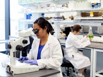 A photograph of a laboratory where two scientists work. One is looking at a slide through a microscope; the other is looking at the green liquid inside a beaker.