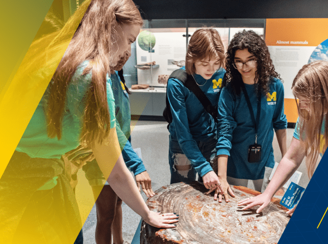 Six students from the Women in Science and Engineering Residence Program (WISE RP) crowd around a hands-on exhibit at a WISE Night at the U-M Museum of Natural History event. They are wearing matching blue WISE RP shirts, in short- and long-sleeved versions.