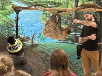 LSA@Play: Animals and Dinosaurs and Wolverines, Oh My! 
