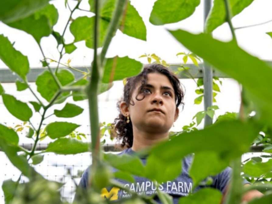 Yumna Dagher named Rhodes Scholar! 