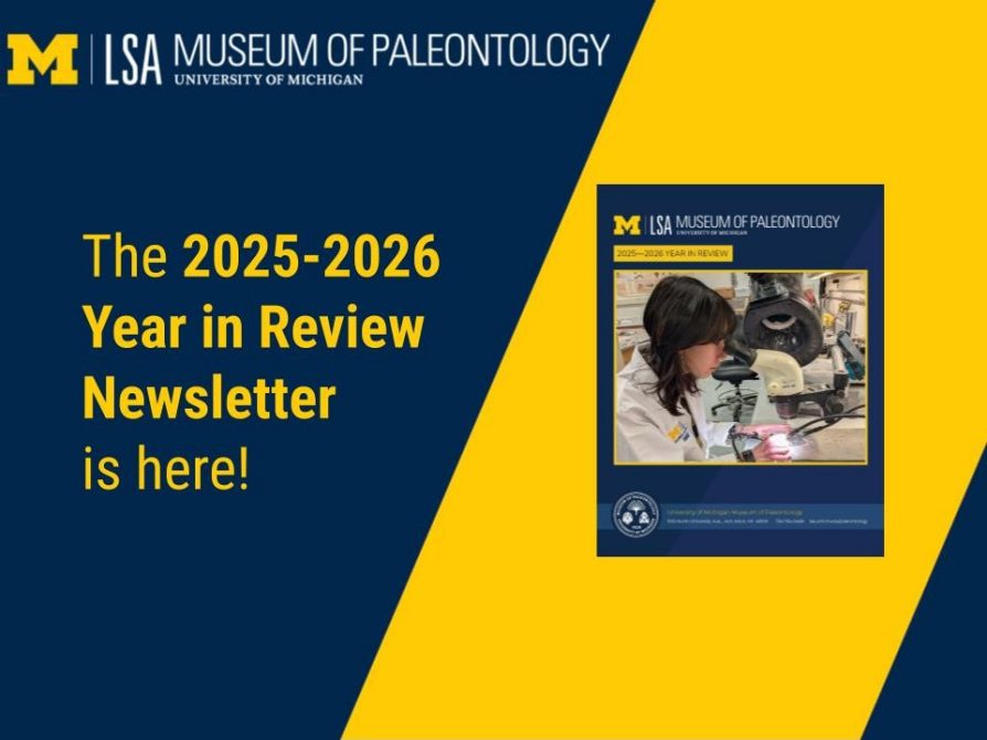 cover of newsletter