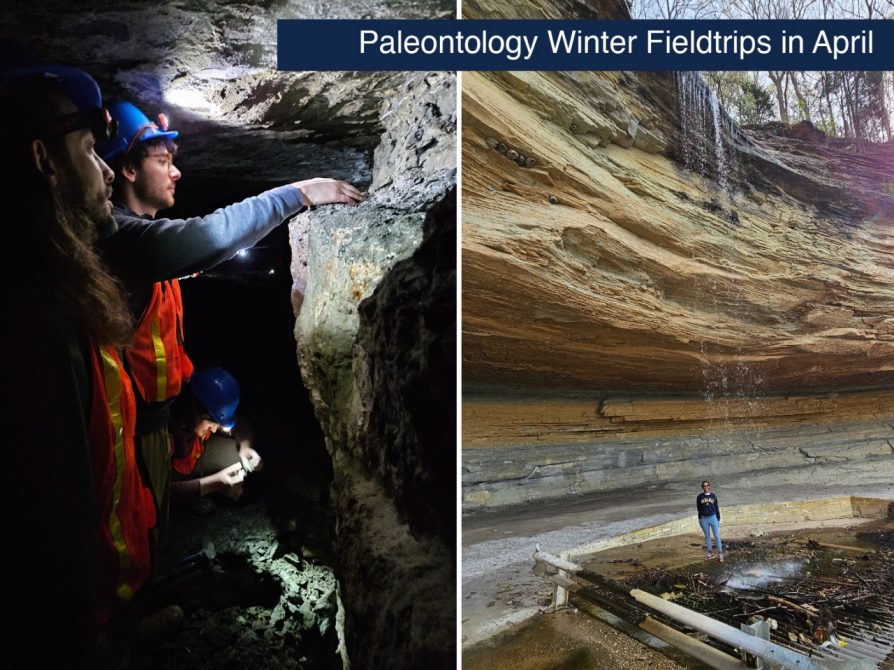 Paleontology Field Trip Bonanza 