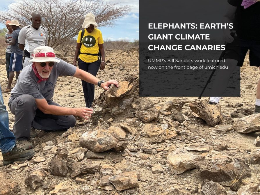 ELEPHANTS: EARTH’S  GIANT CLIMATE  CHANGE CANARIES 