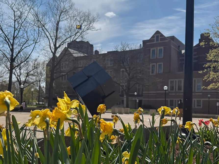 Photo of yellow Daffodil flowers on a sunny day with The Cube and the Michigan Union building in the background