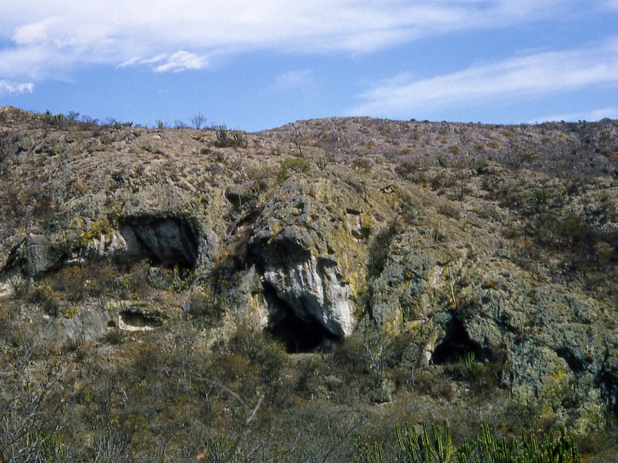Archaeology in the Valley of Oaxaca 