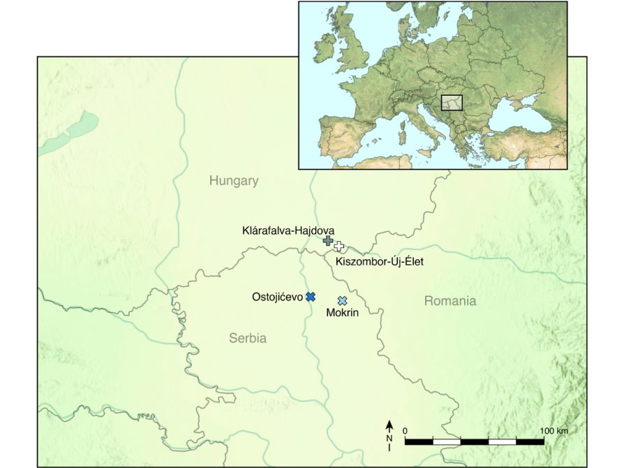 Map showing the region where Hungary, Serbia, and Romania meet