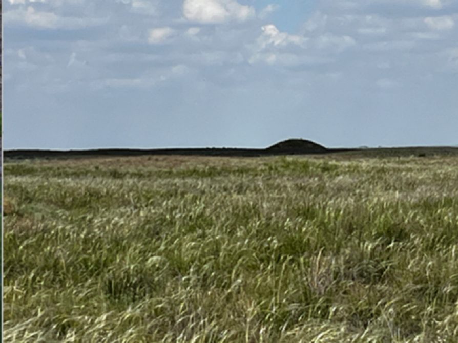 Burial mound in the distance a large field of grass and a blue sky above