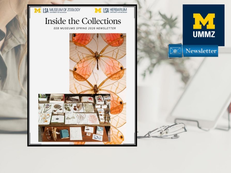 EEB Museums Spring 2026 Newsletter: Inside the Collections 
