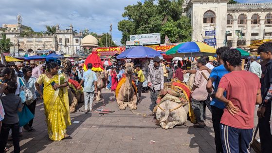 A bustling Indian market with camels, colorful stalls, people, and signs like "Saddam Hotel" amid lively, vibrant activity.
