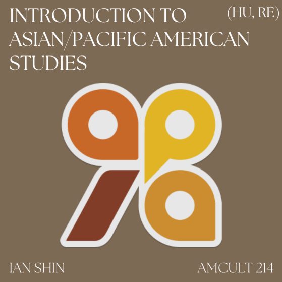 APAI LOGO