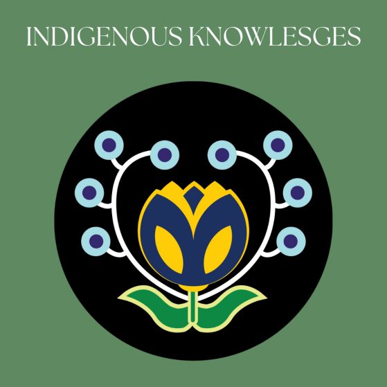 NAS LOGO