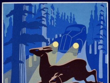 wildlife-poster.jpg
