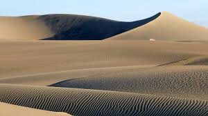 Rippled sand dunes in a desert under a blue cloudless sky.