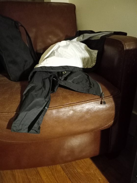 black cat hiding under a black jacket