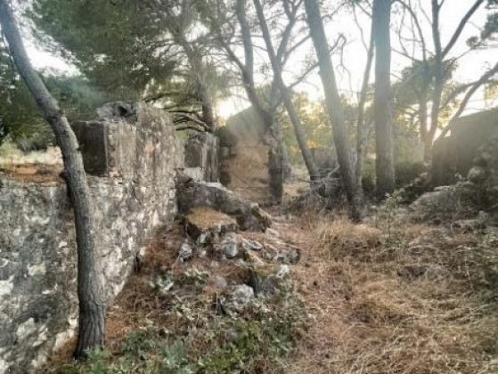 A partial stone wall with part of it having fallen and laying in a debris pile at its base and overgrown with trees and grasses.
