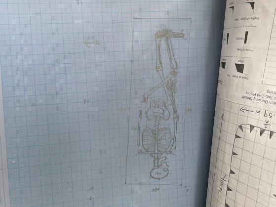 Pencil drawing of a human skeleton on graph paper, showing bone positions and measurements, with notes and diagrams on the side.