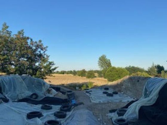 Standing in the excavation site looking across the site covered with plastic sheets secured by tires to the tree covered horizon and lots of blue sky.