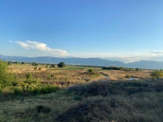 Looking across the landscape of native grasses and shrubs to the mountains and the low-hung clouds on the horizon.