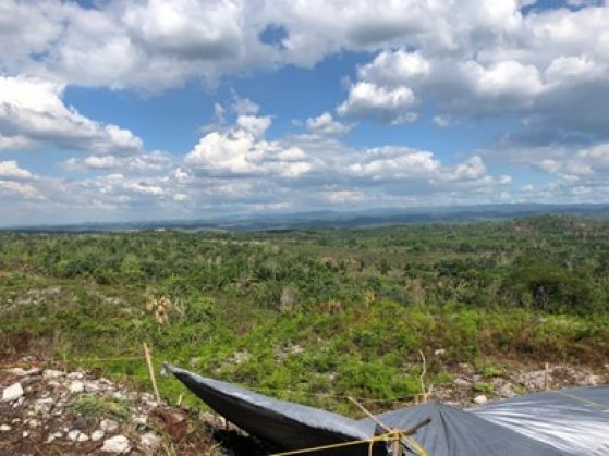 View of the Belize Valley from the top of B1.