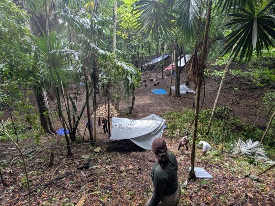 People set up tarps and camp in a clearing within a dense, green forest surrounded by tall trees and scattered leaves.