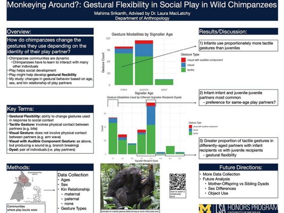Srikanth's honors poster, "Monkeying Around?: Gestural Flexibility in Social Play in Wild Chimpanzees."