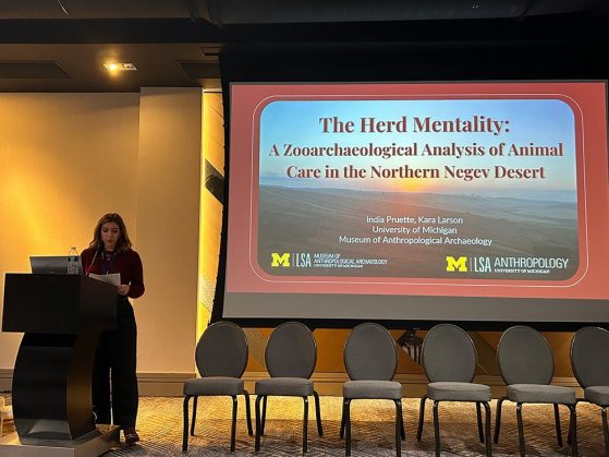 Pruette standing at a podium and showing the title slide, presenting her paper, "The Herd Mentality: A Zooarchaeological Analysis of Animal Care in the Northern Negrev Desert." India Pruette, Kara Larson, University of Michigan, Museum of Anthropological Archaeology with a photo of the desert at sunset in the background and including the block M logos of the museum and the anthropology department.