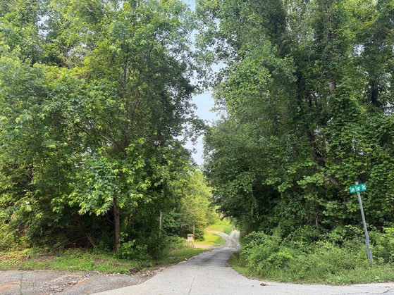 Narrow dirt road disappears into a dense forest of tall, leafy green trees. A street sign reads "Sam Furr Rd" on the right.