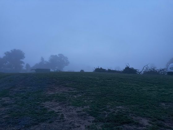 Foggy landscape with trees, vehicles, and brush piles are barely visible in the distance under a gray sky on a grassy field