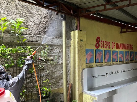 Person sprays plants near a wall with a handwashing guide and sinks, in an indoor area with overhead steel beams.