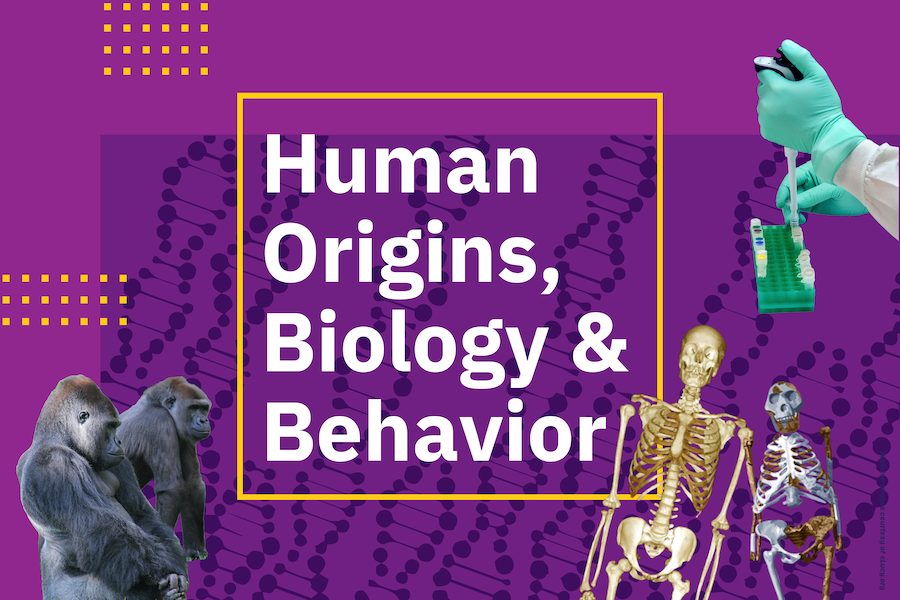 Learn about the Human Origins, Biology, and Behavior major