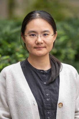Jinyi Yang