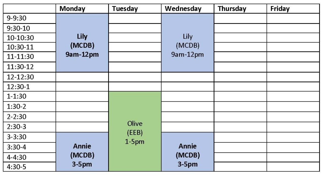 Peer Advisor Schedule
