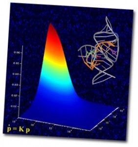 Single Molecule Studies