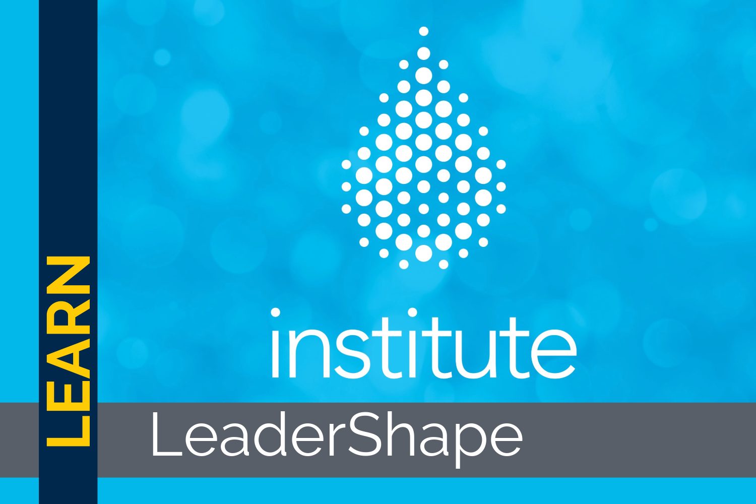 Blue image with LeaderShape Institute