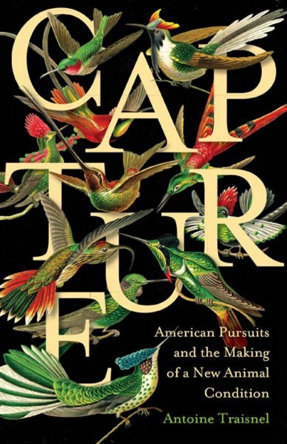 Book cover with text “Capture” surrounded and intersected by many green, red, and white birds.