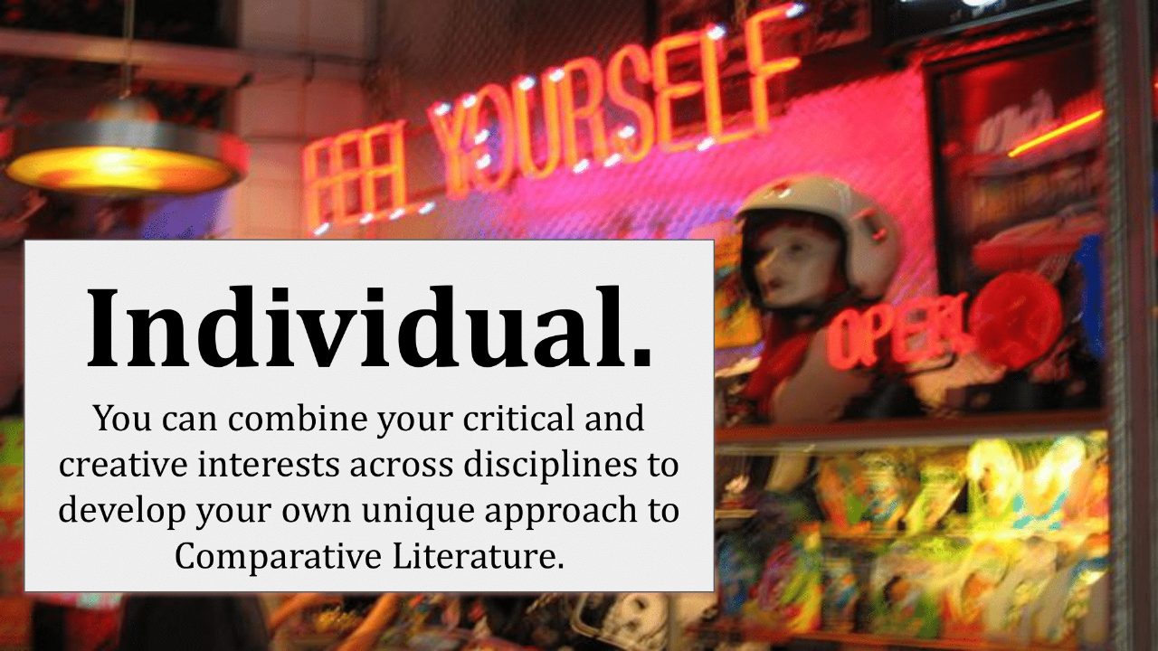 Text, “Individual. You can combine your critical and creative interests across disciplines to develop your own unique approach to Comparative Literature.”