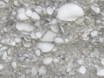 cropped-DSC_0834-scaled-1