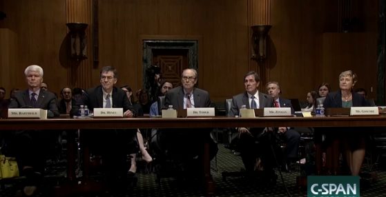 Witness Panel from Hearing