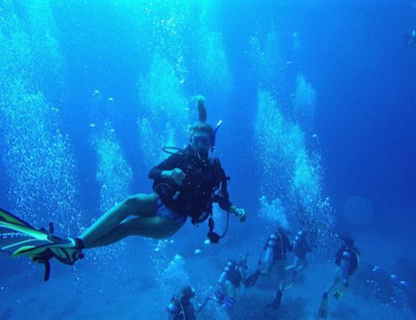 Emily Brines diving during a study abroad marine research experience.
