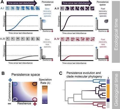 Figure from article