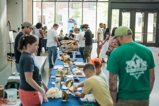 Tables with specimens for ID Day