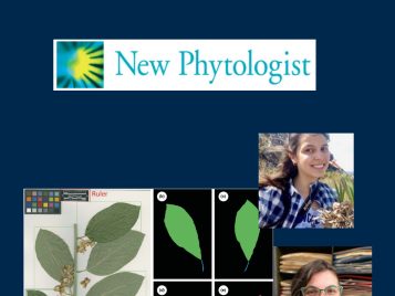 paper in New Phytologist