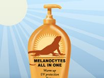A sunscreen like bottle with a sun and lizard image on it with the words: Melanocytes all in one: UV protection, warm up and detox. Illustration: John Megahan