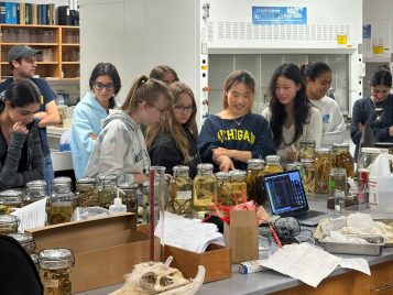 Students explore the specimen in the Museum of Zoology