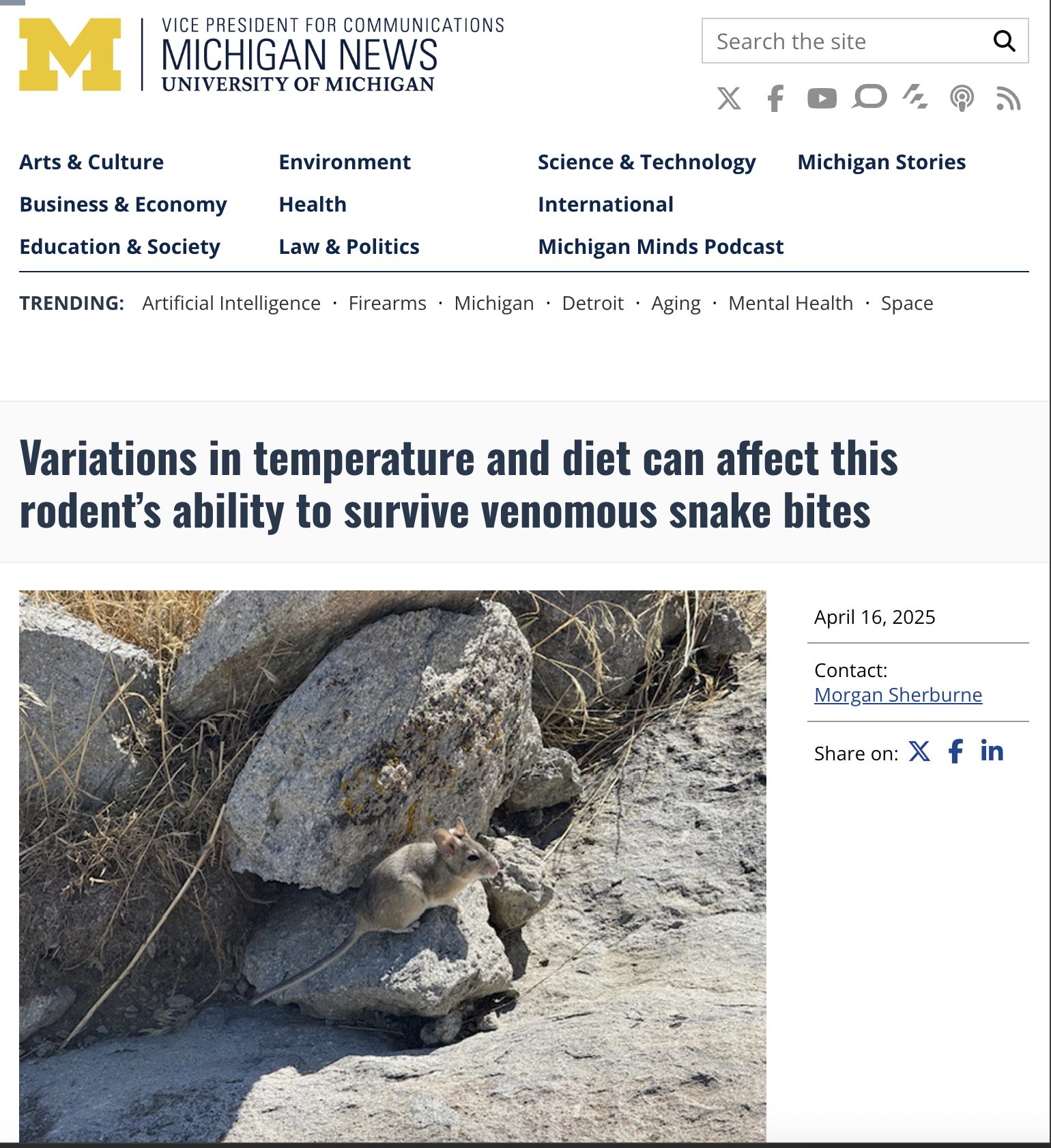 Screenshot of article 