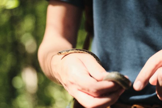 Snake at ESGR