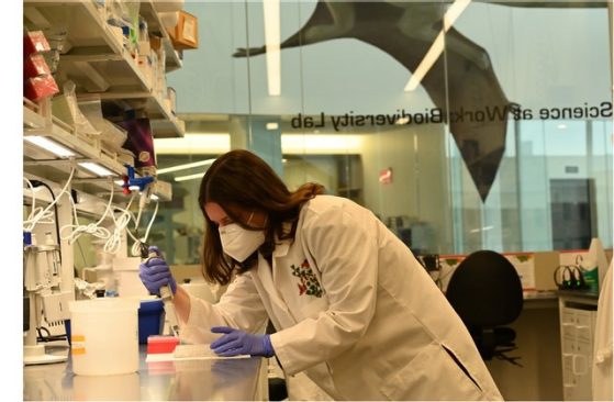 researcher sequencing DNA in a lab