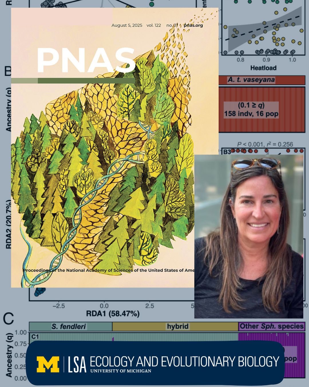 Magazine cover